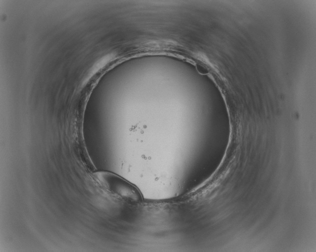 X0000063521211200601201424