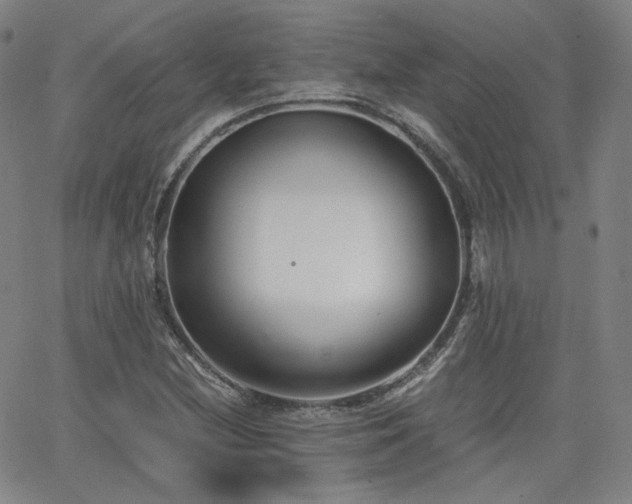 X0000063521212200601201424