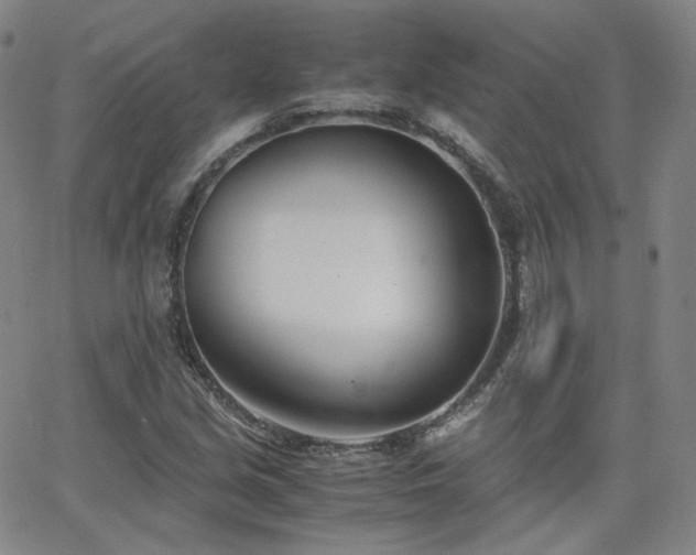 X0000063521213200601201424