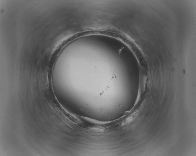 X0000063521214200601201424