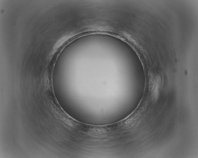 X0000063521215200601201424