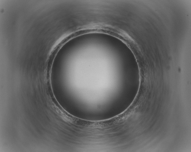 X0000063521216200601201424