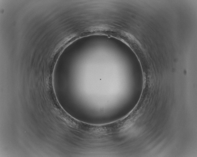 X0000063521217200601201424