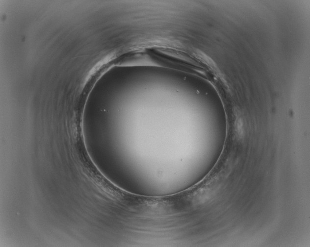 X0000063521218200601201424