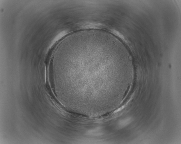 X0000063521219200601201424