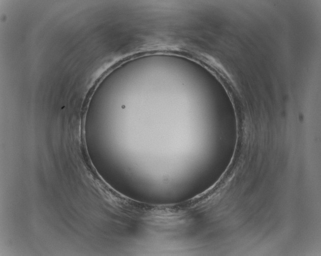 X0000063521220200601201424