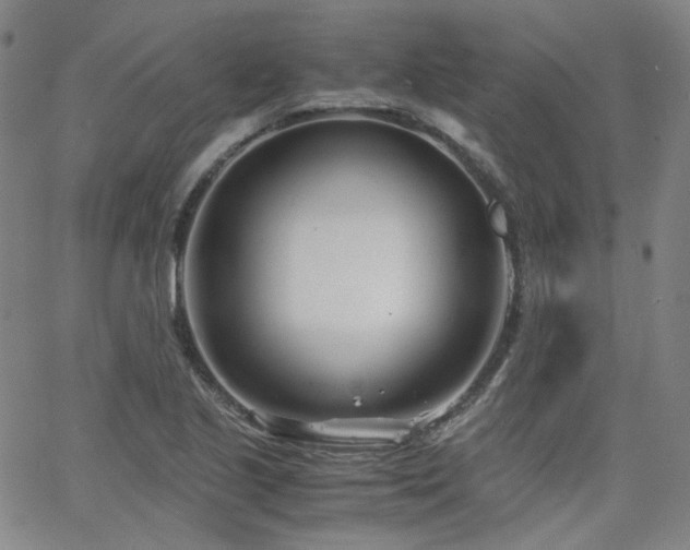 X0000063521221200601201424