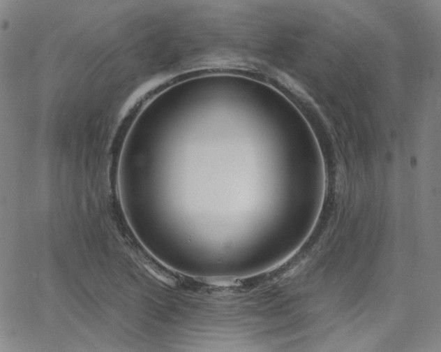 X0000063521222200601201424