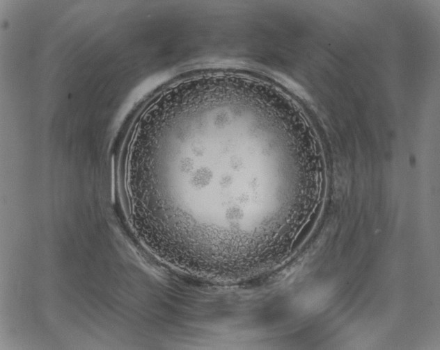 X0000063521223200601201424