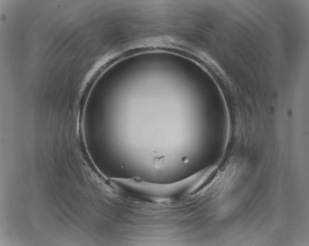 X0000063521224200601201424