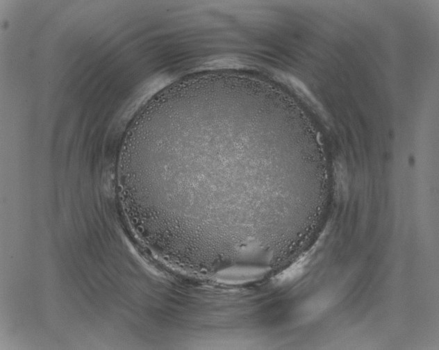 X0000063521225200601201424