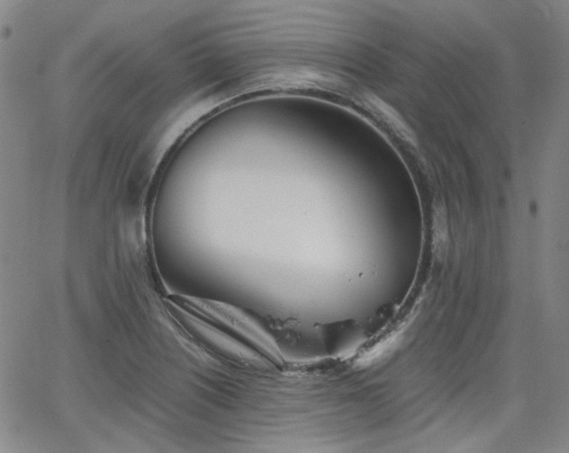 X0000063521226200601201424