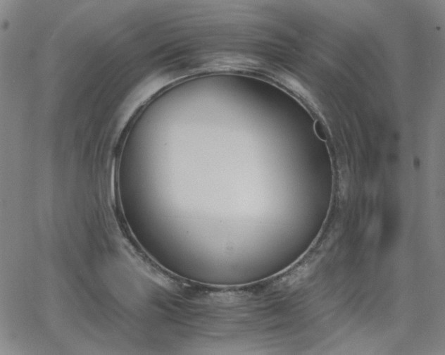 X0000063521227200601201425