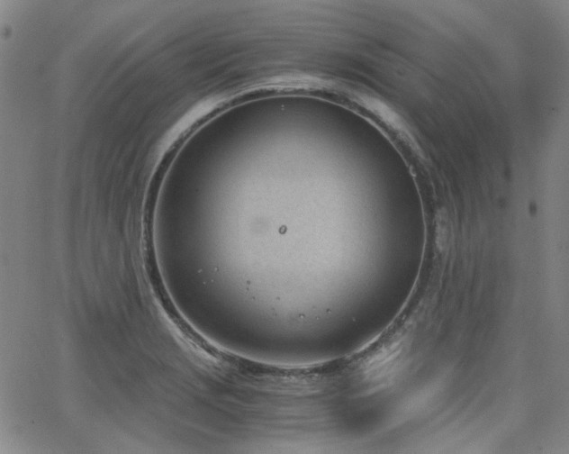 X0000063521229200601201425