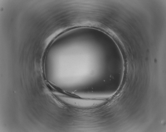 X0000063521230200601201425