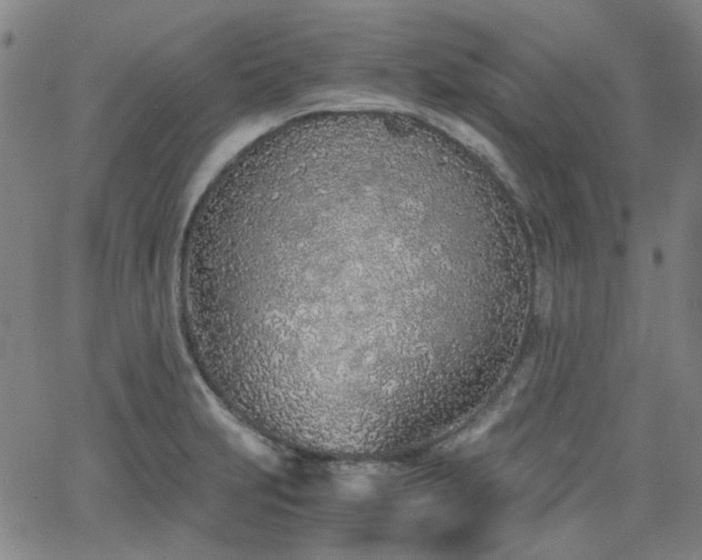 X0000063521231200601201425