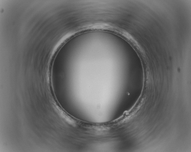 X0000063521232200601201425