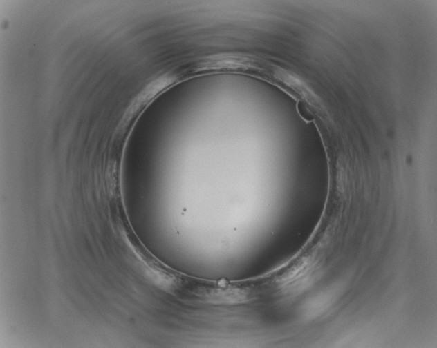 X0000063521233200601201425