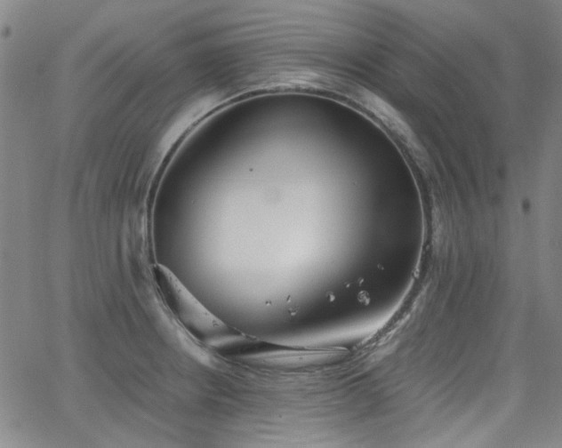 X0000063521234200601201425