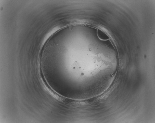 X0000063521235200601201425