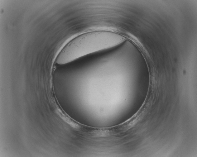 X0000063521236200601201425