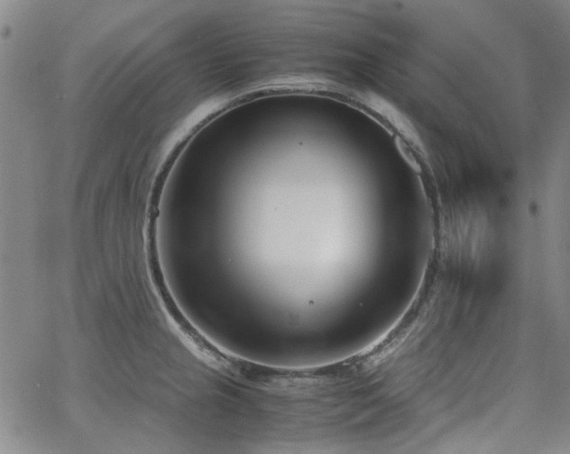 X0000063521237200601201425