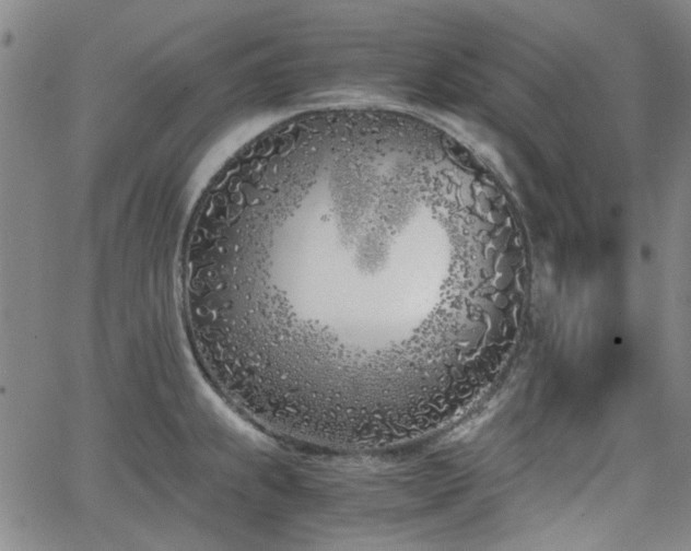 X0000063521239200601201425