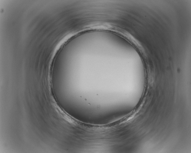 X0000063521240200601201425