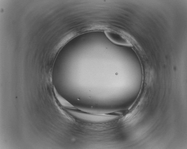 X0000063521241200601201425