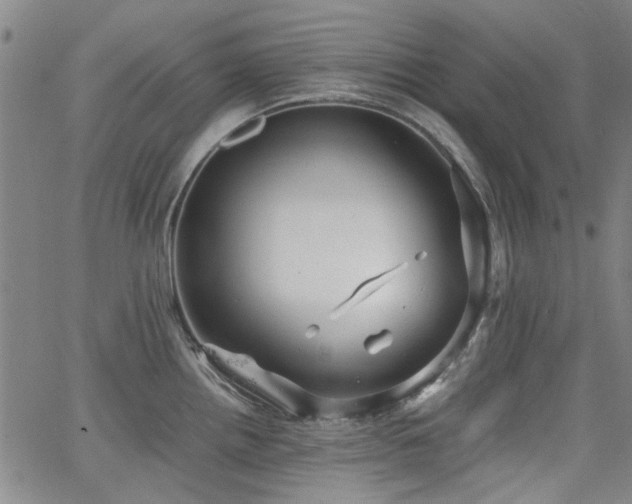 X0000063521242200601201425