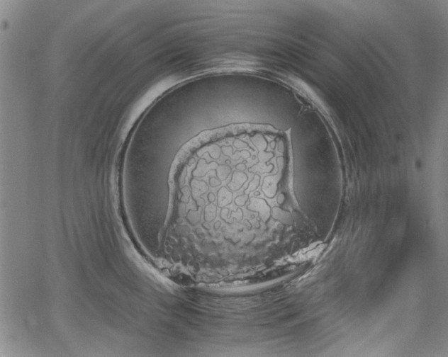 X0000063521243200601201425