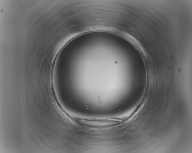 X0000063521244200601201425