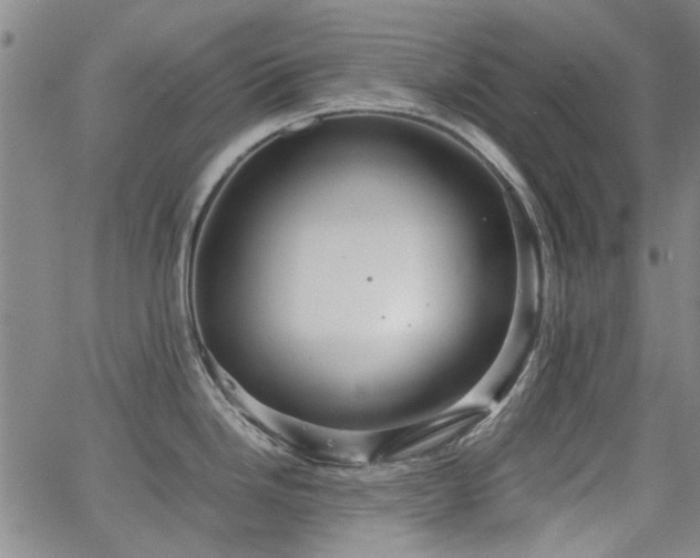 X0000063521246200601201425