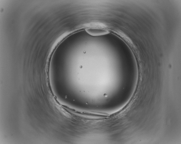 X0000063521248200601201425