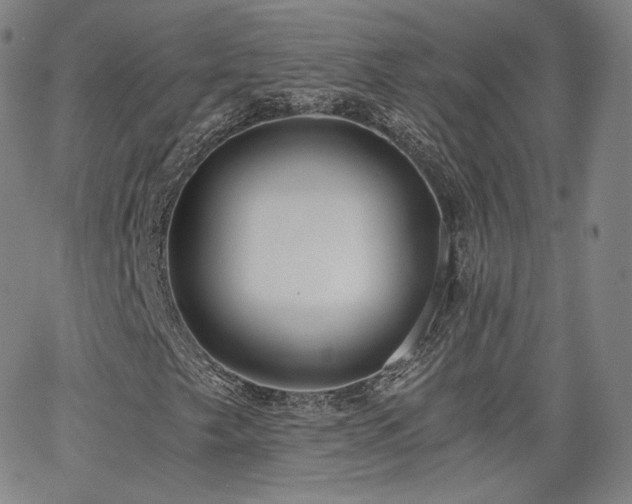 X0000063521249200601201424