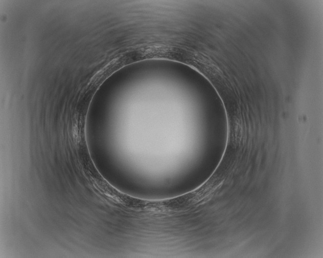 X0000063521250200601201424