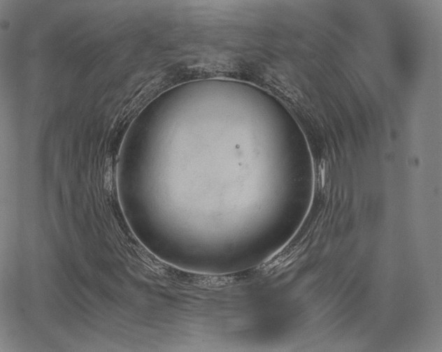 X0000063521251200601201424