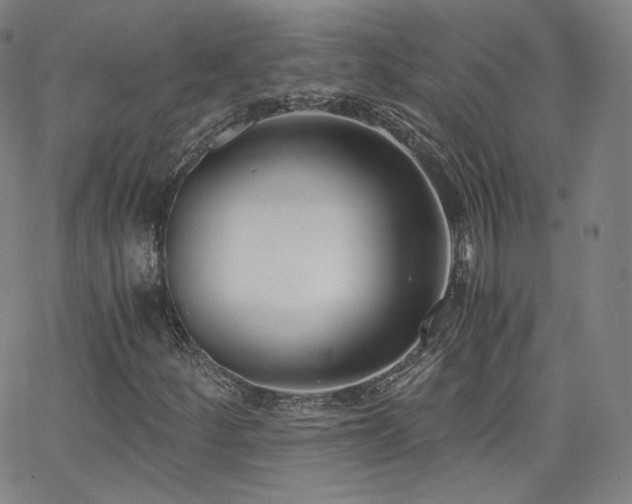 X0000063521252200601201424