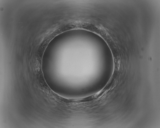 X0000063521253200601201424