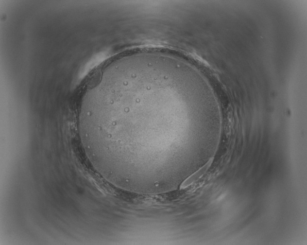 X0000063521255200601201424