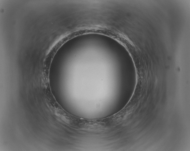 X0000063521256200601201424