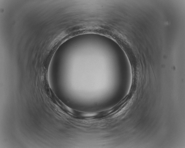 X0000063521257200601201424