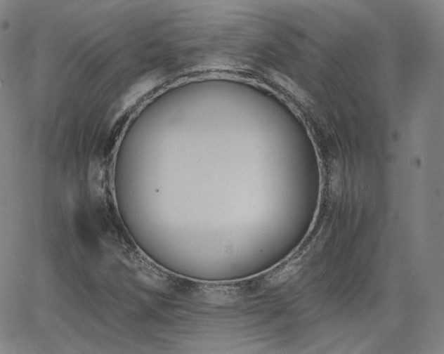 X0000063521258200601201424