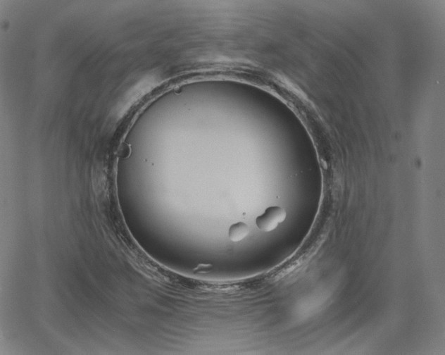 X0000063521259200601201424