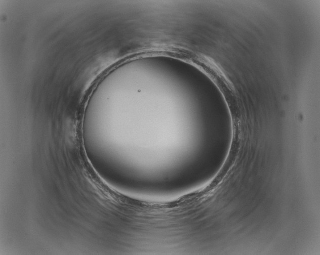 X0000063521260200601201424