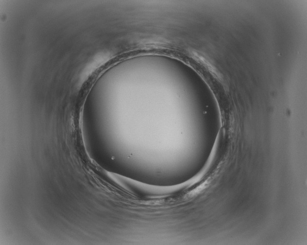 X0000063521261200601201424