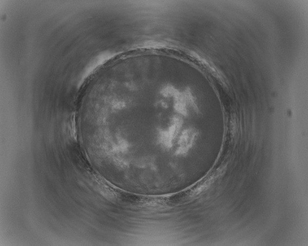 X0000063521262200601201424