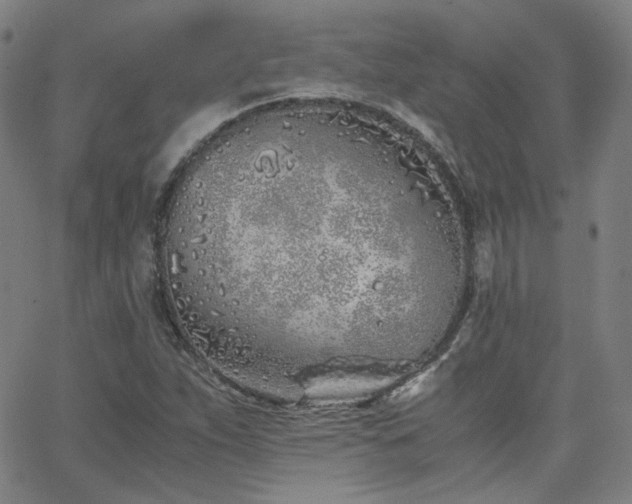 X0000063521263200601201424