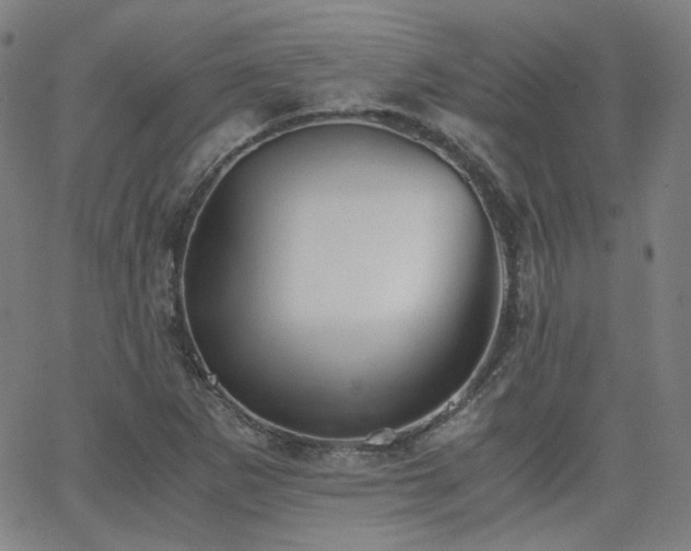 X0000063521265200601201424