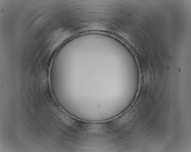 X0000063521266200601201424